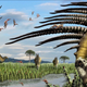 Impresión artística del Bajadasaurus pronuspinax, un dinosaurio saurópodo recién descubierto en Sudamérica